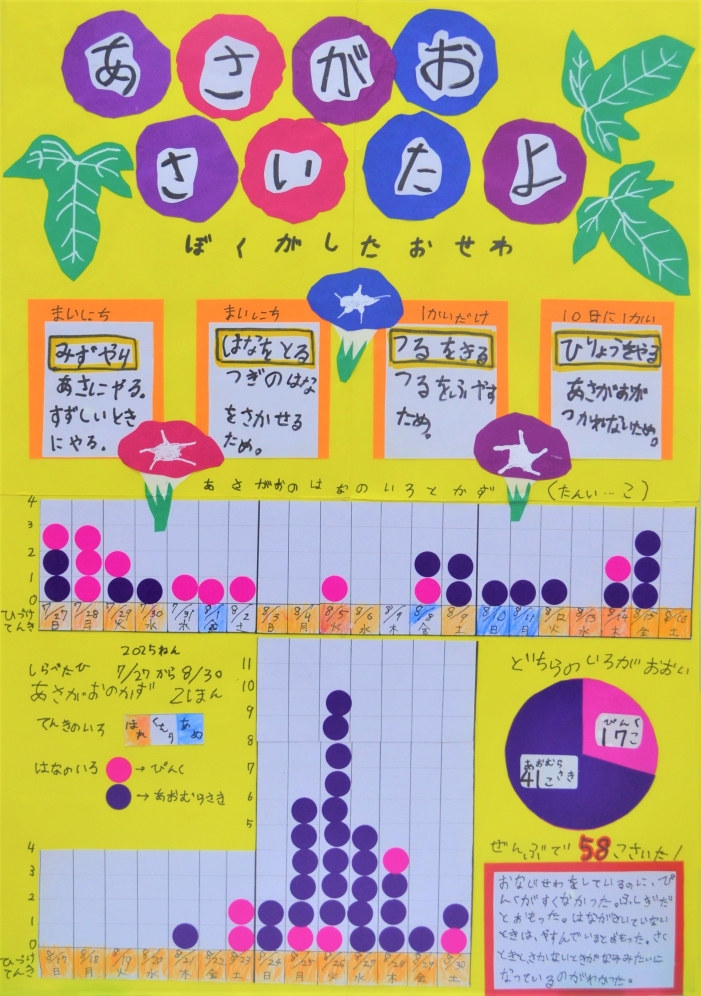 あさがおさいたよ 画像