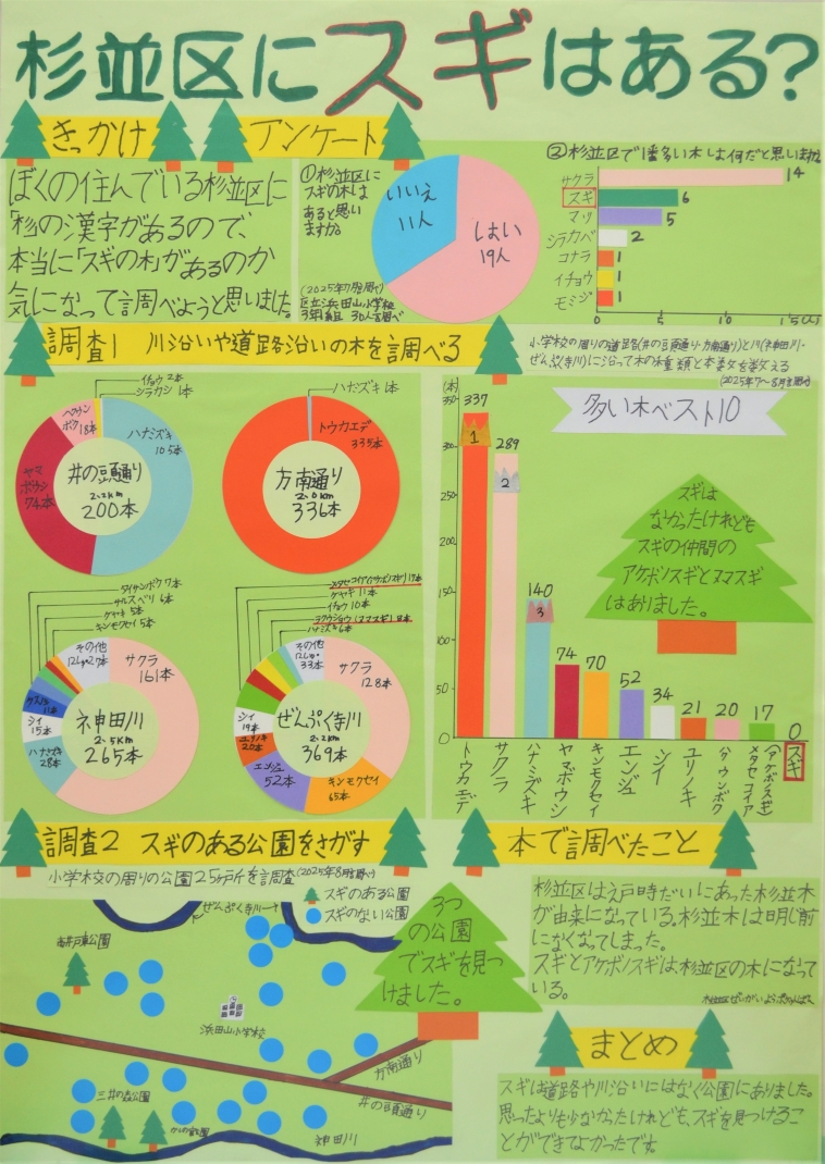 杉並区にスギはある? 画像