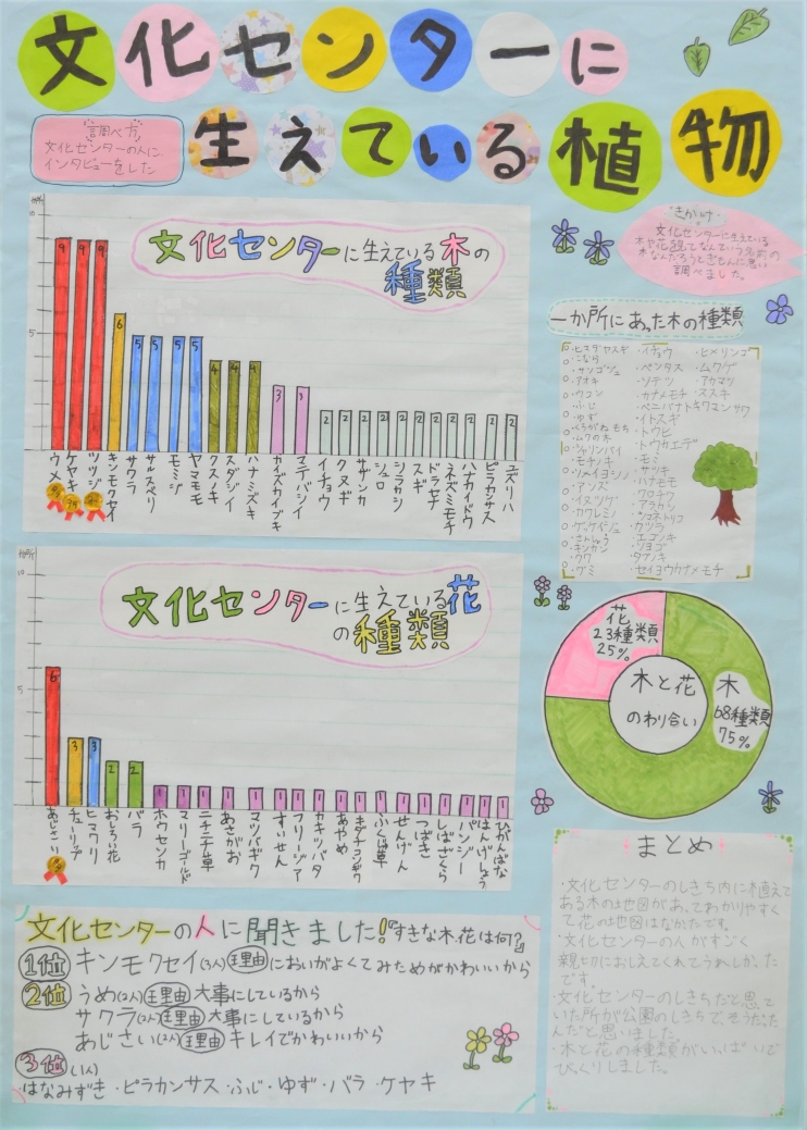 文化センターに生えている植物 画像